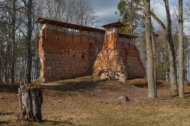 Rõngu vasallilinnus