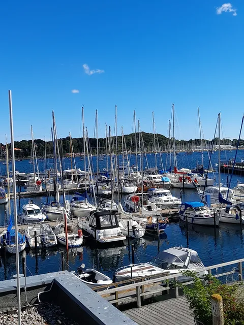 Aquarium im Ostsee-Info-Center Eckernförde