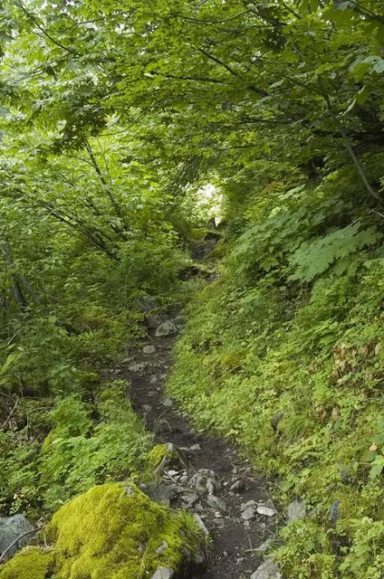 Cascade Mountain Trailhead
