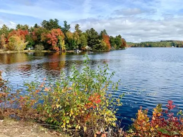 Otter Pond