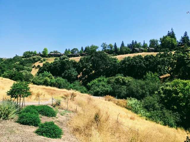 Sabercat Historical Park