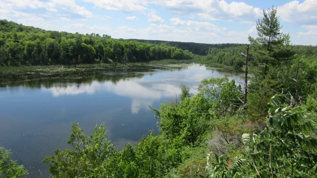 Shaw Woods Outdoor Education Centre