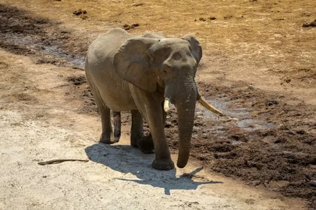 Kastabala Ancient City