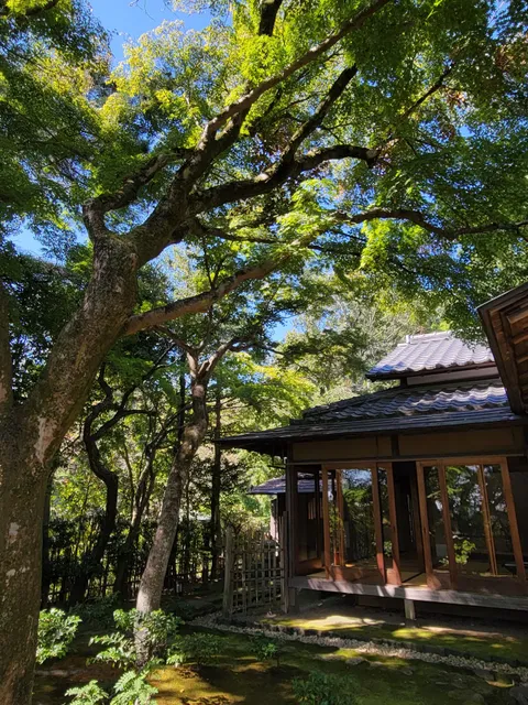 Matsunaga Memorial Hall