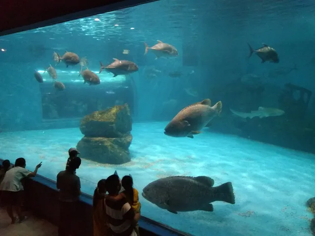 Bangsaen Aquarium