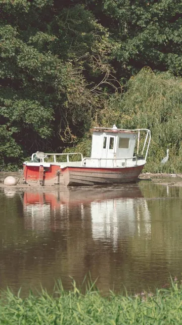 ChesterBoat