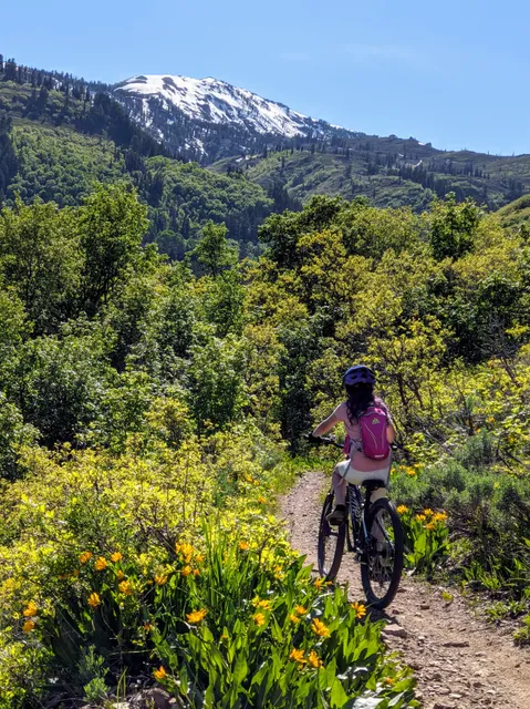 Weber County North Fork Park