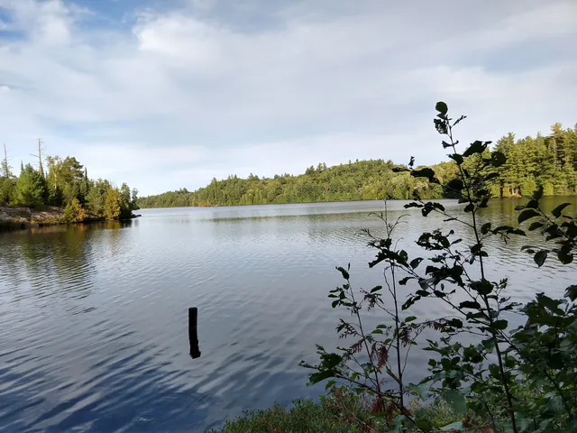 McCormick Wilderness