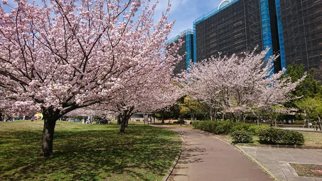 Takasu Central Park
