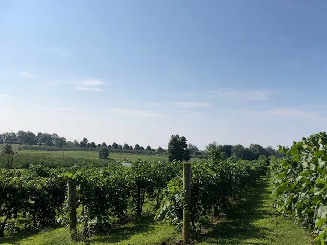 Huber's Orchard and Winery