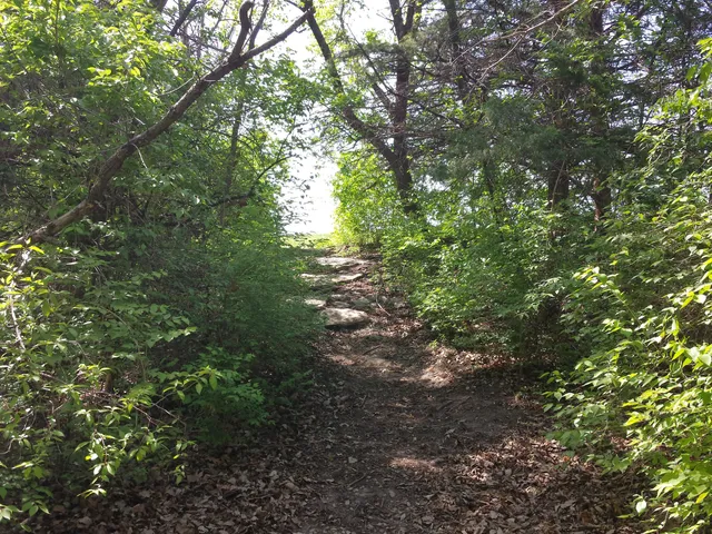 Warner Memorial Park