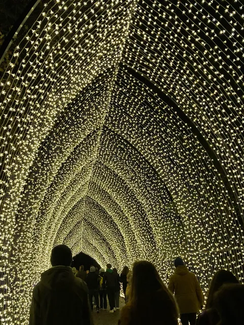 Parc floral - Sentiers lumineux de noel