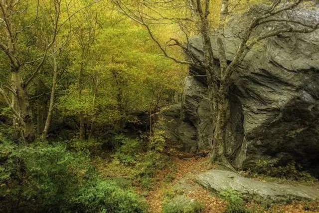 Smugglers' Notch State Park Campground