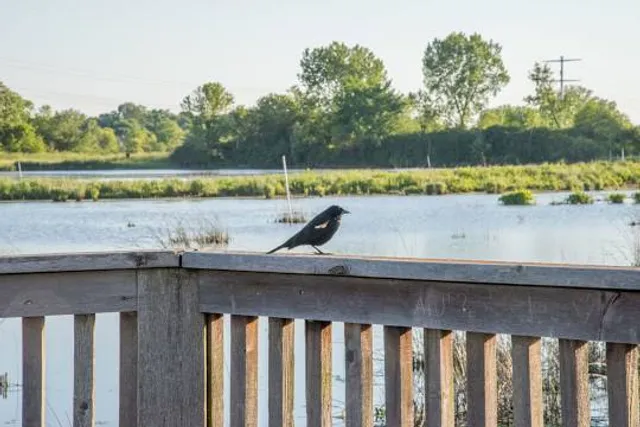 Pleasant Valley Conservation Area