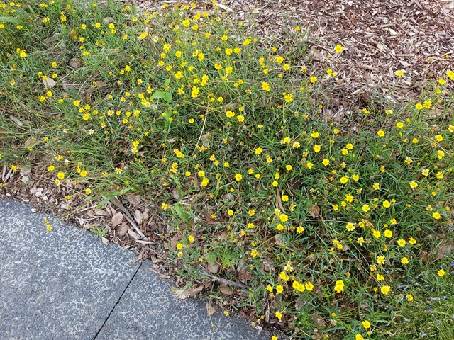 photo-3