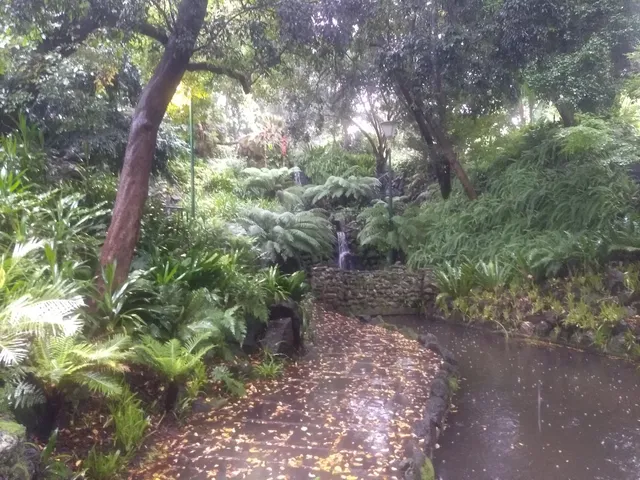 photo-1