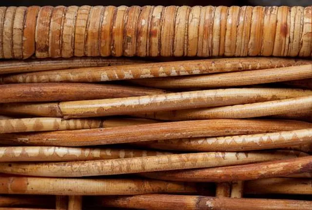 Prachin Konkan Museum