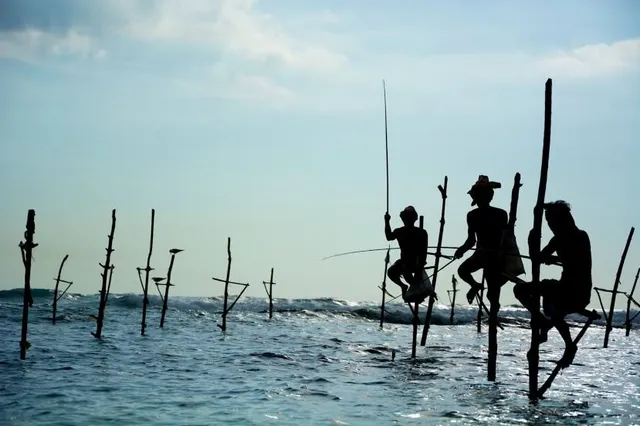 Stilt Fisherman