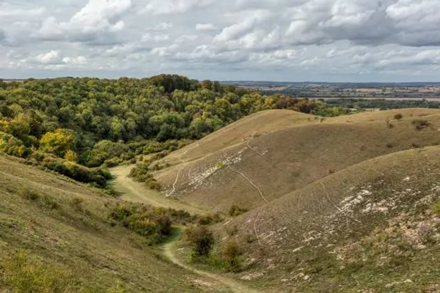 Barton Hills NNR