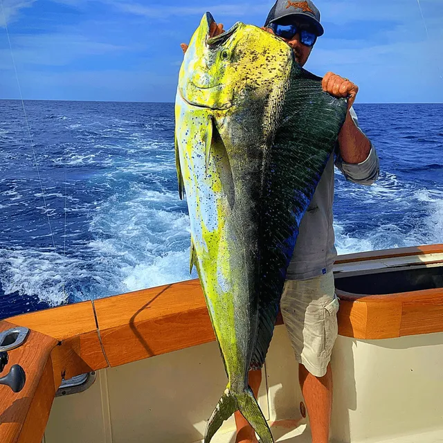 LULU Fishing Charters