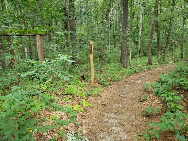 Carlisle Pines State Forest