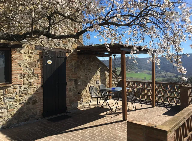 Podere Monte Petreto