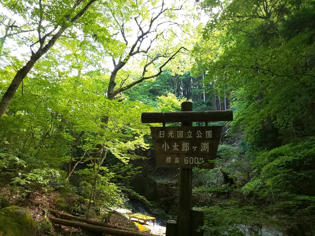Kotarogafuchi
