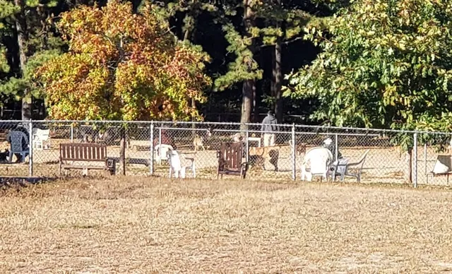 Warwick City Dog Park
