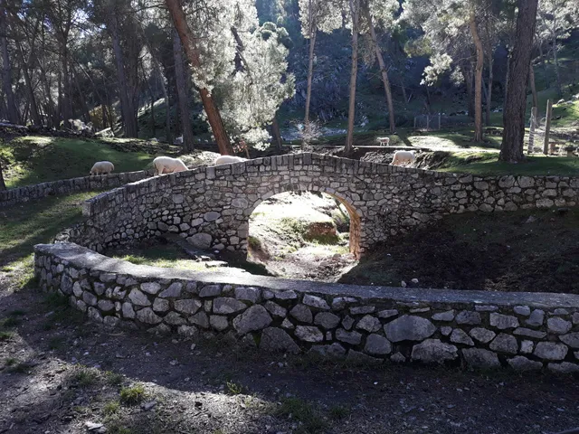 Cañada de las Hazadillas