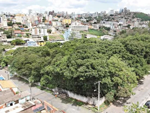 Mata do Jardim América