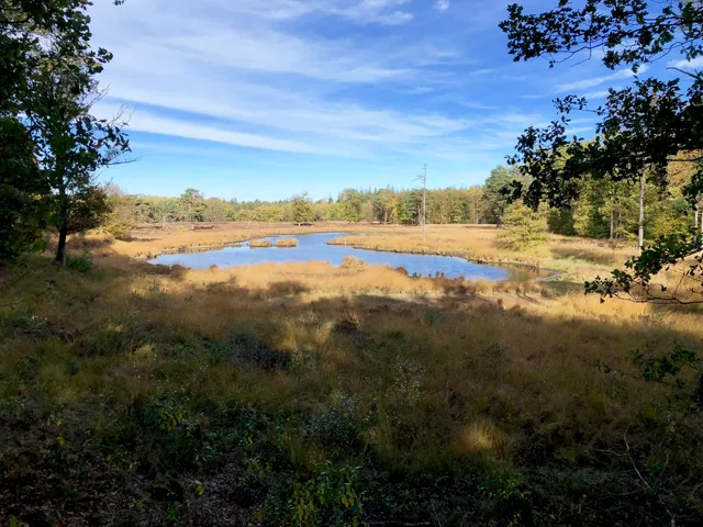 Den Treek-Henschoten