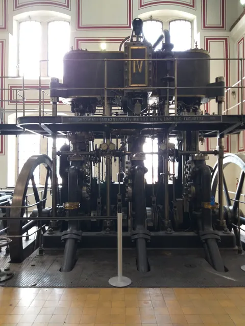 Central Hydrodynamics of the Old Port of Trieste