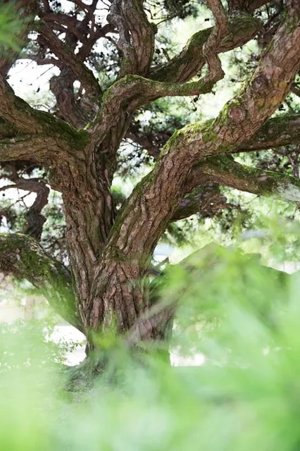 Antigua Mountain Trail