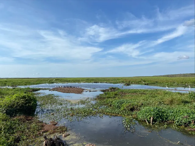 Fogg Dam Conservation Reserve