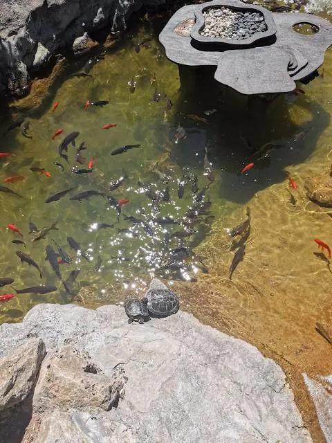 Spanish Pond Trailhead