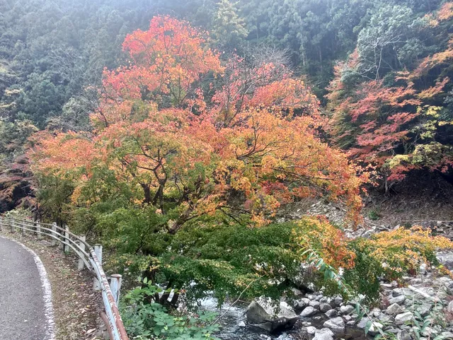 photo-2
