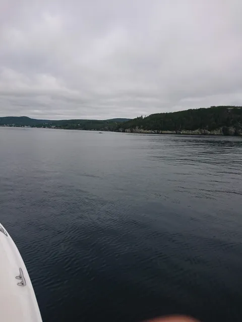 place image