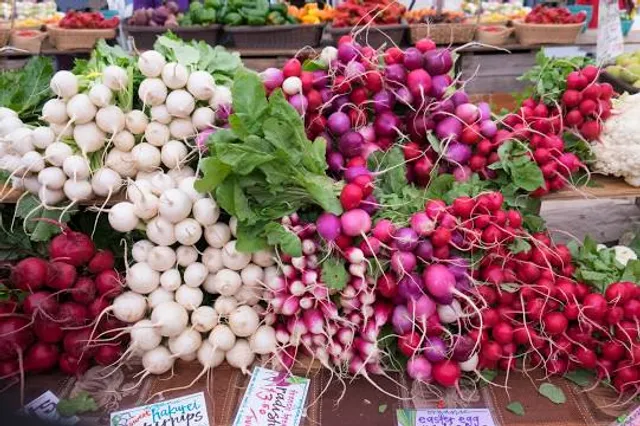 Ann Arbor Farmers Market