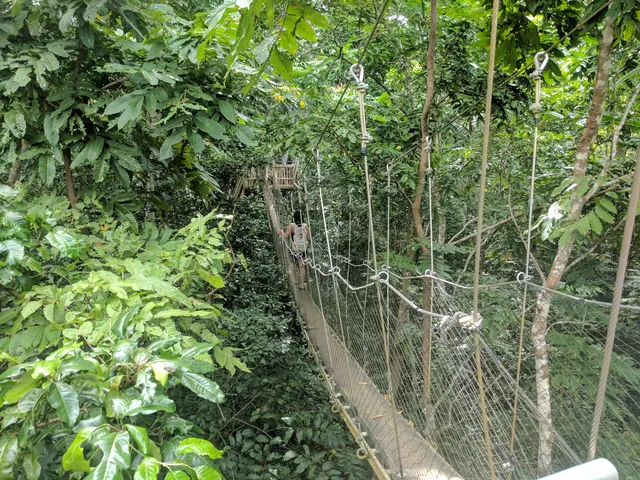 Falealupo Canopy Walkway