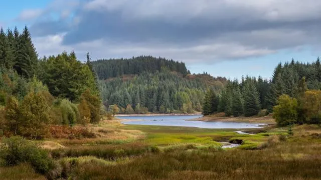 Queen Elizabeth Forest Park