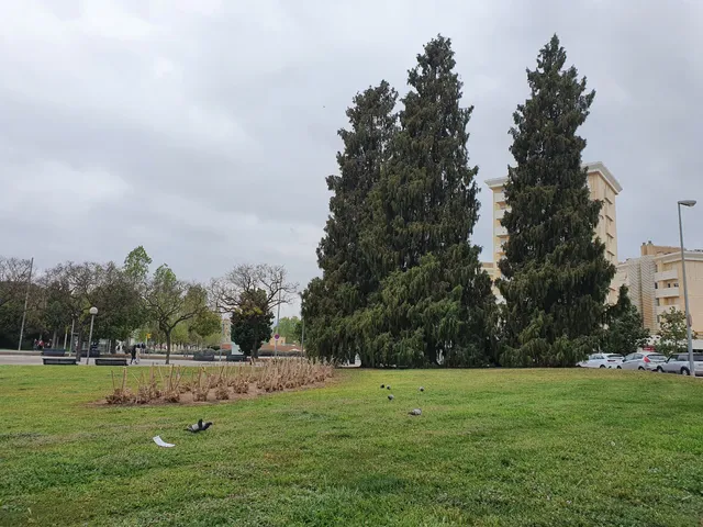 Parc de les Muntanyetes