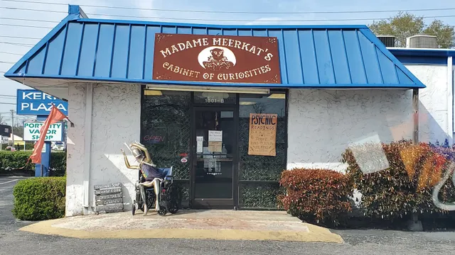 Madame Meerkat's Cabinet of Curiosities