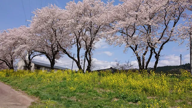 Hananuki Sakura Park