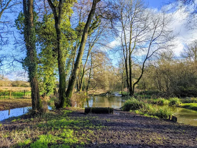 Smallbrook Meadows Nature Reserve
