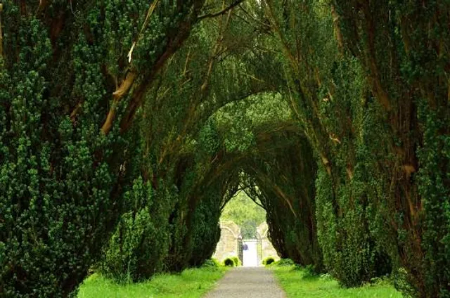 Woodstock Gardens & Arboretum