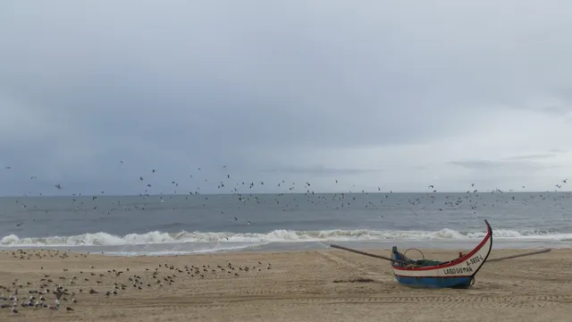 Praia da Vagueira (Norte)