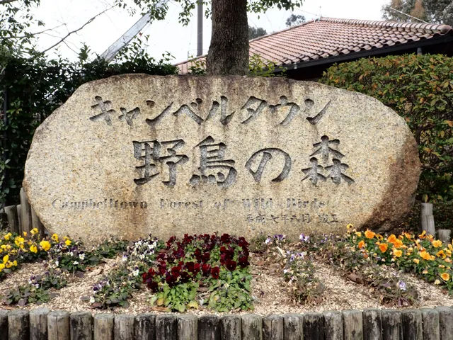 Campbelltown Forest of Wild Birds