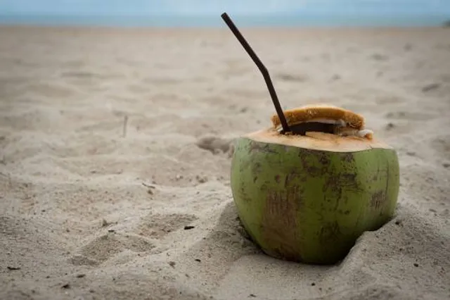 Smith Mountain Lake Beach