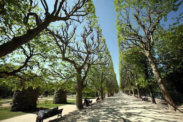 Jardin des Plantes