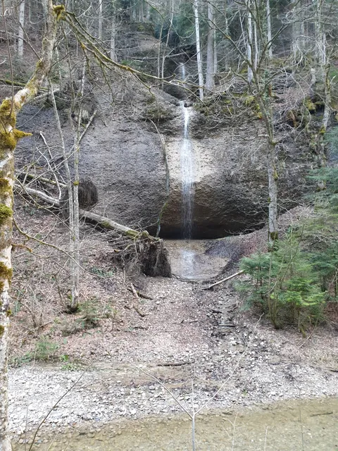 photo-3